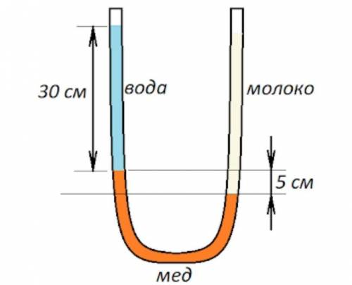 Задача №1.  В ￼ – образную трубку налили сначала мед. Затем в левое колено была налита вода, а в пра
