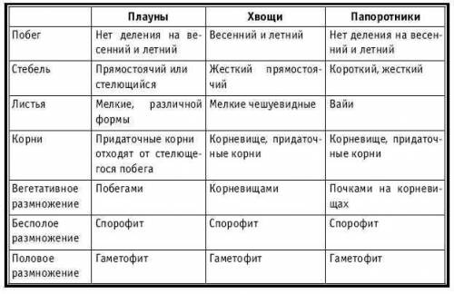 Напишите сравнение споровых растений ( папоротник и плауны) сходство и различие