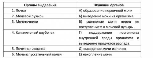 Соотнесите органы выделения с их функциями, задание на фото