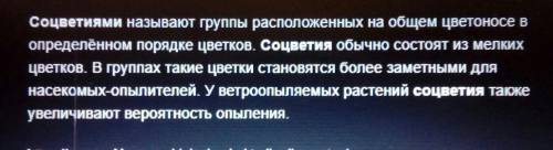 Каково биологическое значение соцветий?