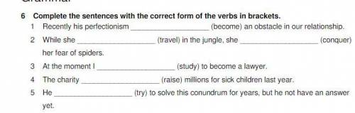 Complete the sentences with the correct form of the verbs in brackets.