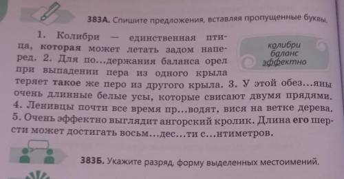 Спишите предложения, вставляя пропущенные буквы. Укажите разряд, форму выделенных местоимений