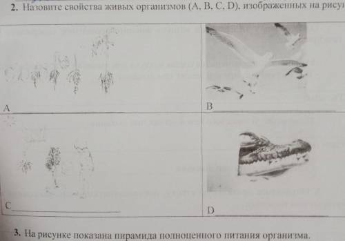 2. Назовите свойства живых организмов (А. В. С.D), изображенных на рису A В TROS С D 21: