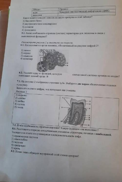 РЕБЯТ !это на оценку с любым заданием которое знайте!