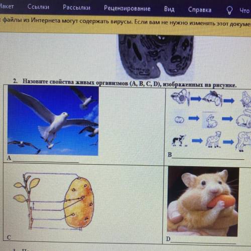 2. Назовите свойства живых организмов (А, В, С, D), кображеннып ва рисунке.