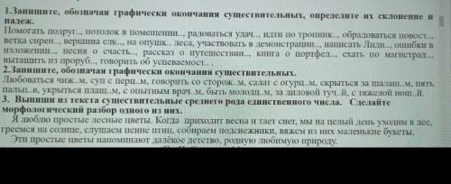 Запишите,обозначая графические окончания существительных