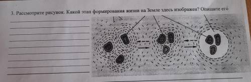 Рассмотрите рисунок. Какой этап формирования жизни на земле здесь изображен? опишите его