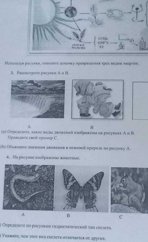 Henoys рисунки, оние цепочку превращения трех видов пергии 3. Рассмотрите рисунки А и В. А В а) Опре