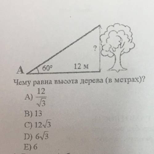 A 60° 12 м Чему равна высота дерева (в метрах)? 12 А) 3 В) 13 С) 12/3 D) 63 E) 6