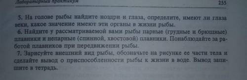 Нужно написать в виде лабораторной работы