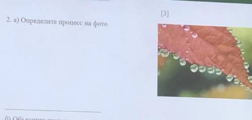 А)определите процесс на фото Б)объясните значение данного процесса