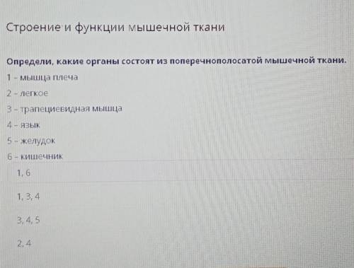 Онлайн мектепСтроение и функции мышечной ткани