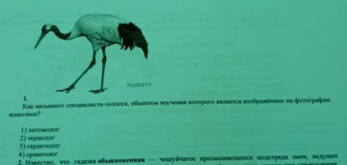 1.Как называют специалиста-зоолога, объектом изучения которого является изображённое на фотографии ж