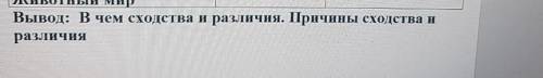 Сходства и различия. Причины сходства и различия папмы и льяноса?