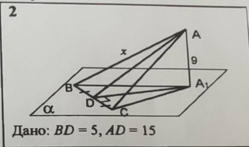 AA1-перпендикуляр к плоскости a, AB, AC-наклонные. Найдите x и y !