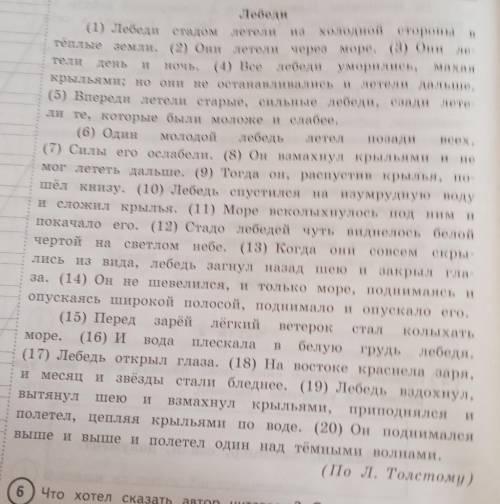 Что хотел сказать автор читателю? Определи и запиши основную мысль текста.Простите за плохое качеств