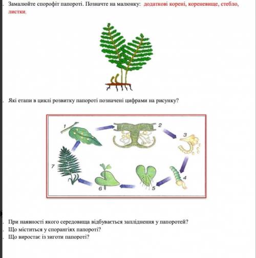 В першому завданні малюємо папотрoть та підписуємо її частини, в другому підписуєму етапи розвитку п