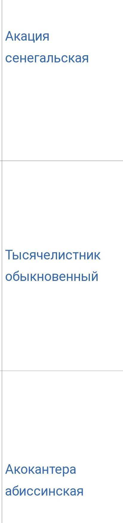 Запиши название растений см с 29