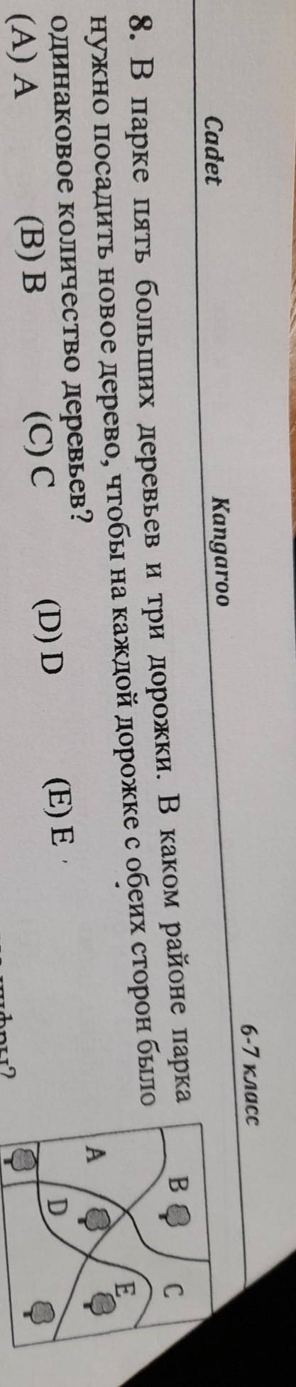 8. В парке пять больших деревьев и три дорожки. В каком районе парка нужно посадить новое дерево, чт
