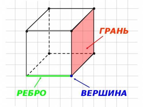 Нарисовать куб, указать вершины, грани и ребра