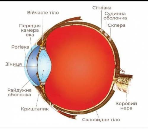 Нужно подписать названия под каждым номером. Заранее