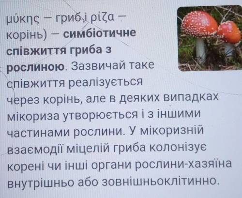 1.Що таке симбіоз? 2.Поясніть явище мікоризи у грибів. 3.Яким чином може змінитися живлення трутовик