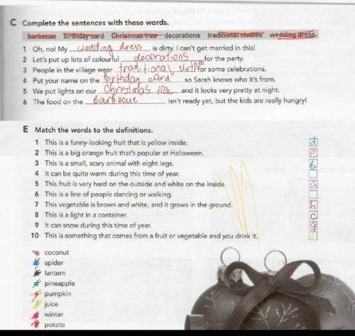 Read the text about a boy, Pedro, and a celebration in Brazil. Choose the best answer (a, b or c) fo