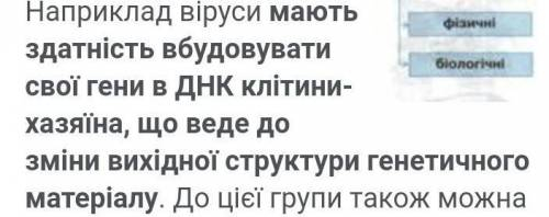 Чому віруси належать до мутагенів?