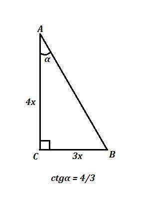 Обчисліть значення cosa, якщо ctga=4/3