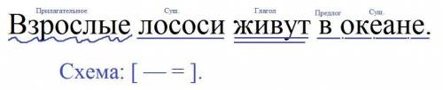 Синтаксичейский разбор Взлослые лососи живут в океане