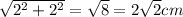 \sqrt{ {2}^{2} + {2}^{2} } = \sqrt{8 } = 2 \sqrt{2} cm