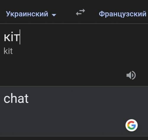 Как переводиться кот и собака на французский
