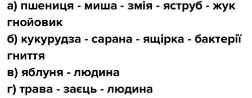 Підрахуйте скільки необхідно кілограмів трави для того, щоб вигодувати одного гепарда масою 50 кг в