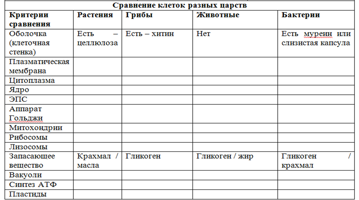 Сравнительная характеристика клеток растений и животных, грибов и бактерий